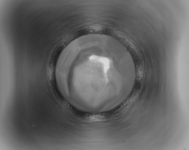 X0000100920468200807221120