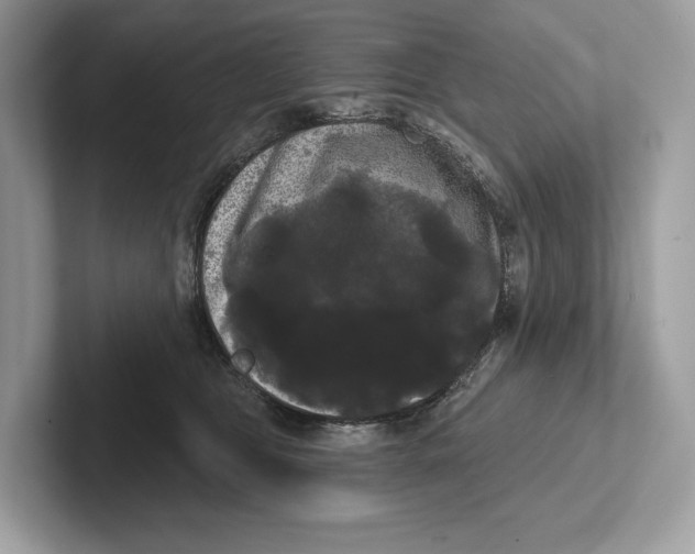 X0000100920469200807221120