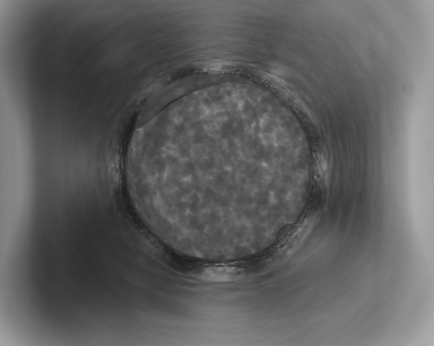 X0000100920470200807221120