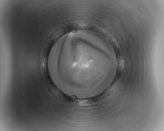 X0000100920472200807221120