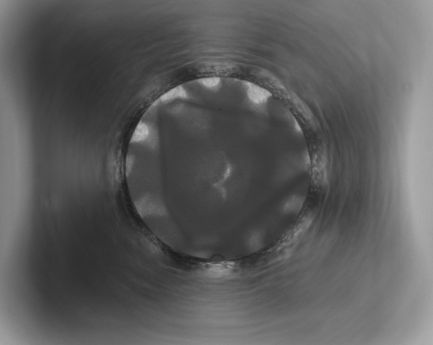 X0000100920474200807221120