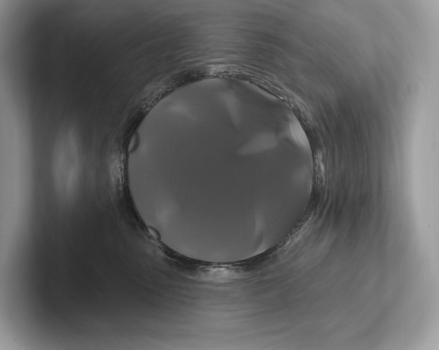 X0000100920475200807221120