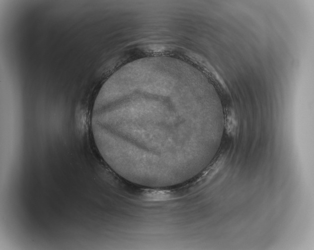 X0000100920476200807221120