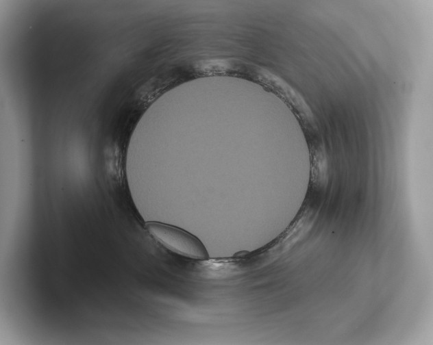 X0000100920477200807221120