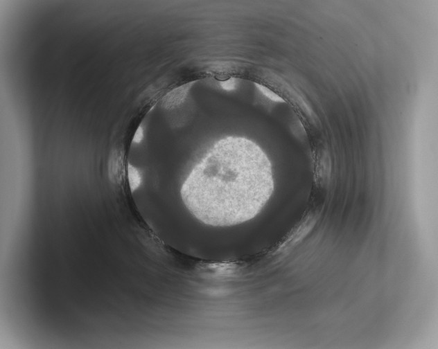 X0000100920478200807221120