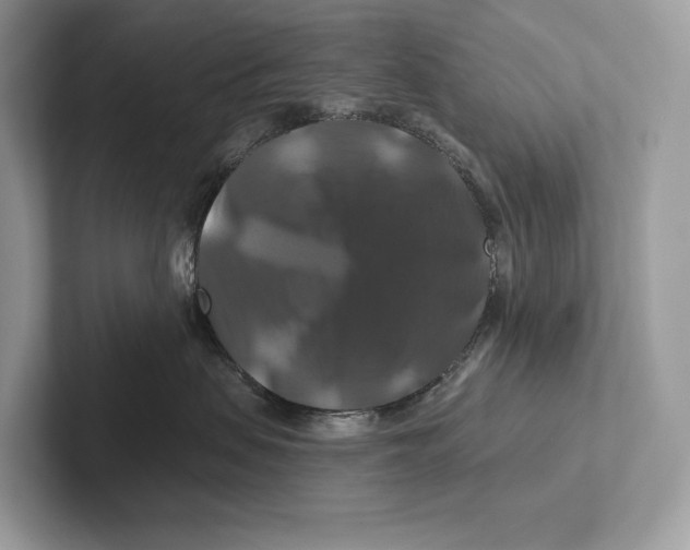 X0000100920479200807221120