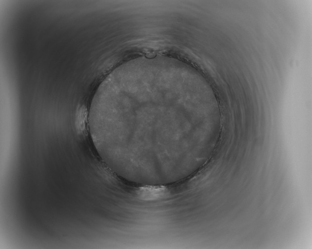 X0000100920480200807221120