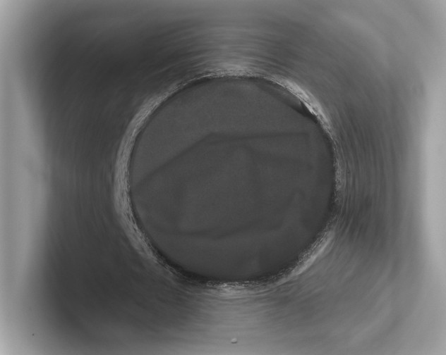 X0000100920481200807221119