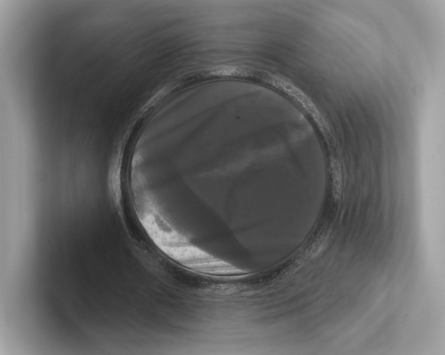 X0000100920482200807221119