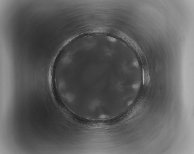 X0000100920483200807221119
