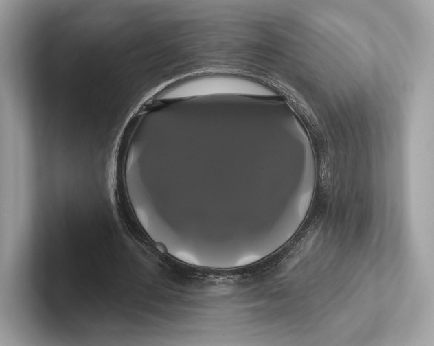 X0000100920484200807221119