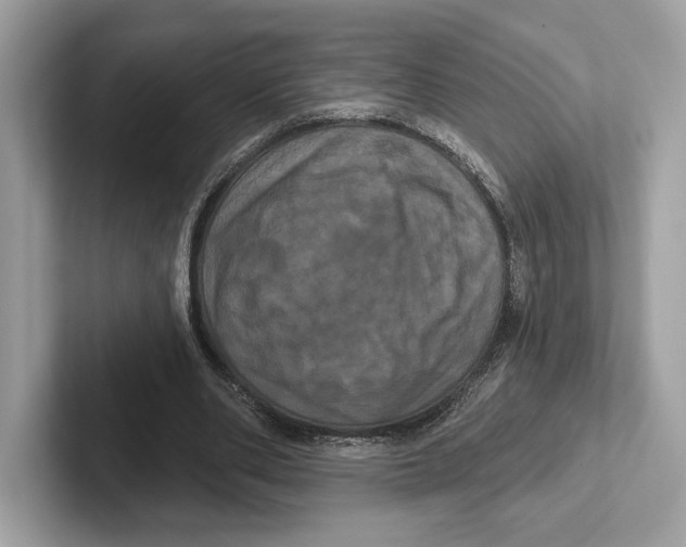 X0000100920486200807221119