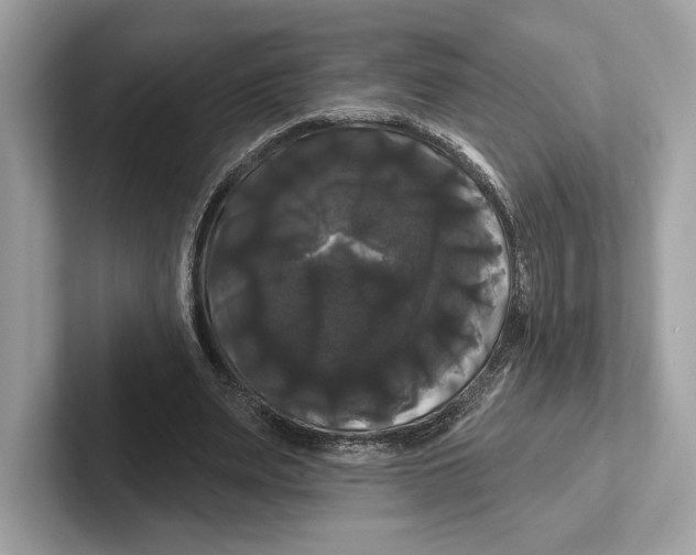 X0000100920487200807221119