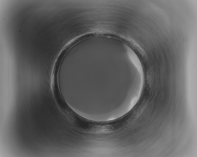 X0000100920488200807221119