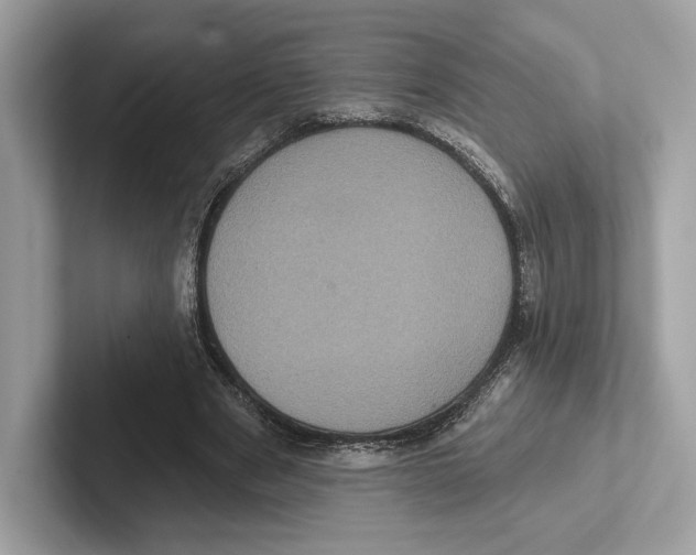 X0000100920489200807221119