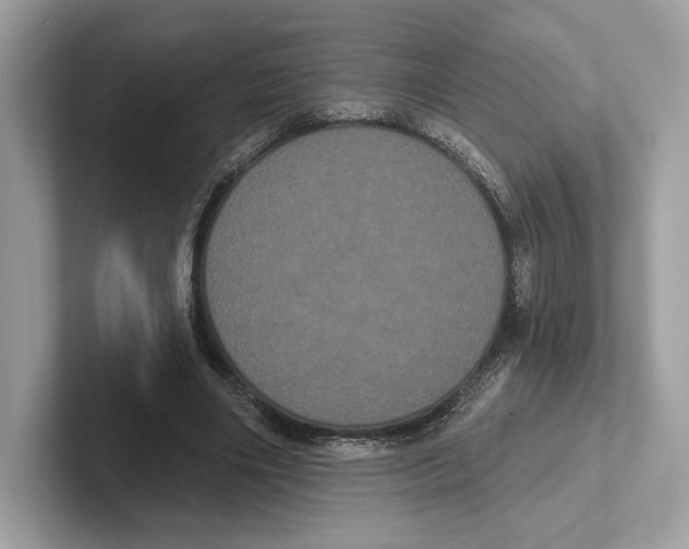 X0000100920490200807221119