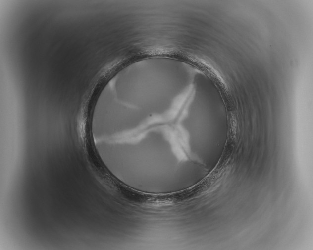 X0000100920491200807221119