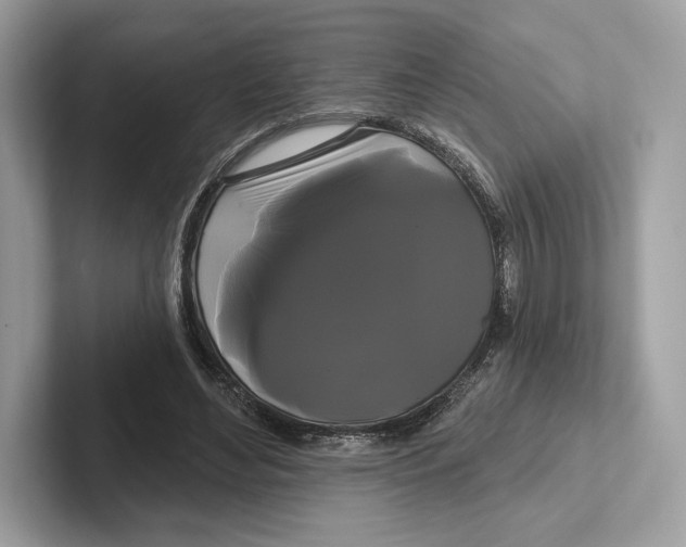 X0000100920492200807221119