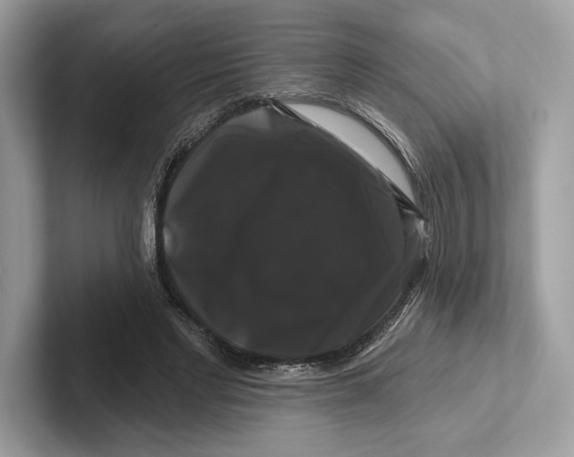 X0000100920493200807221119