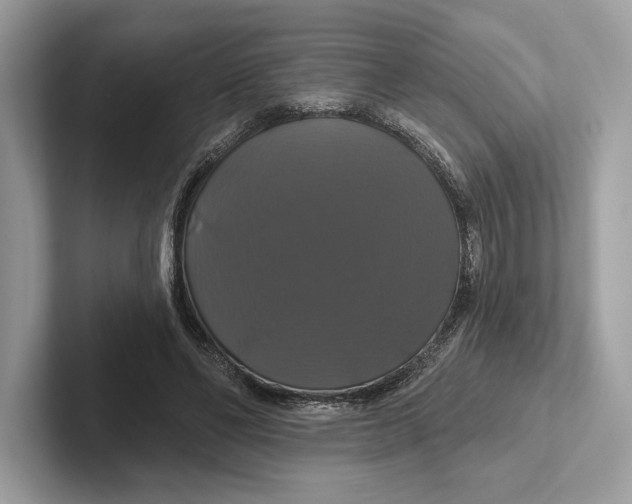 X0000100920494200807221119