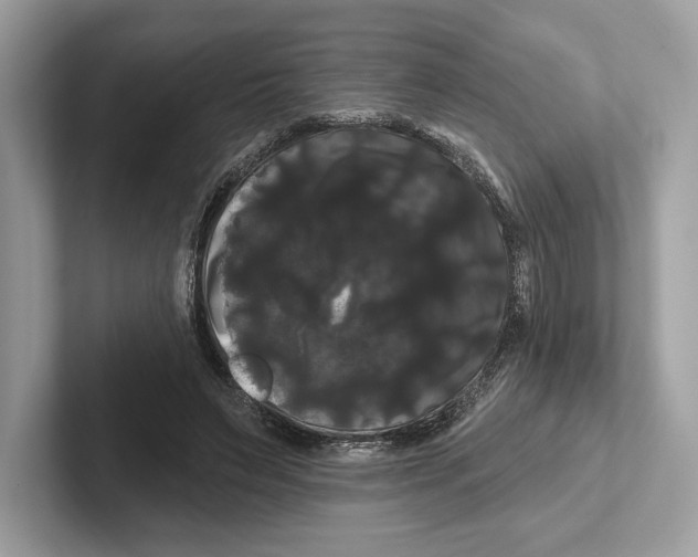 X0000100920495200807221119