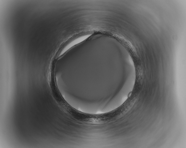 X0000100920496200807221119