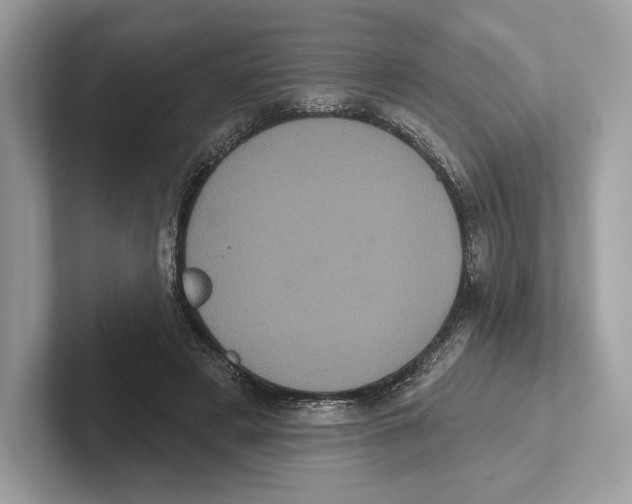 X0000100920497200807221119