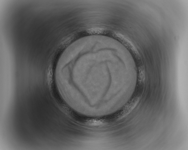 X0000100920498200807221119