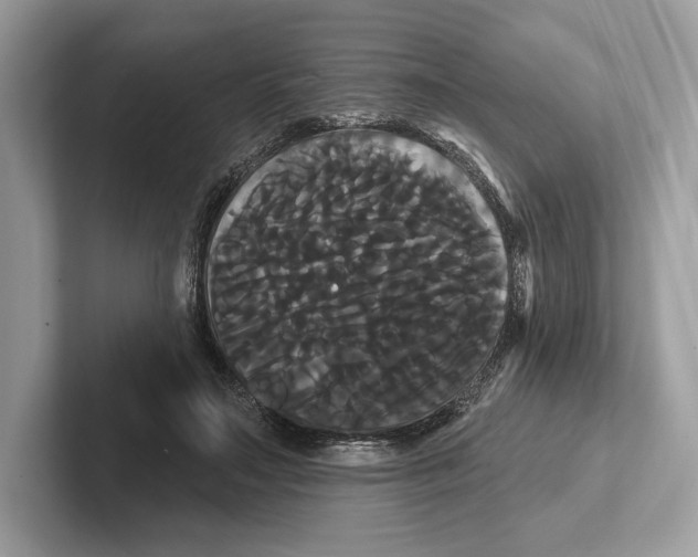 X0000100920499200807221119