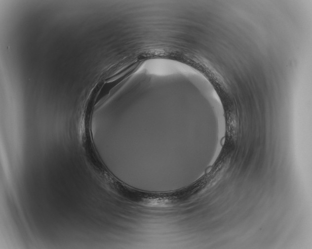 X0000100920500200807221119