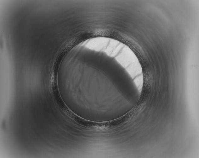 X0000100920502200807221119