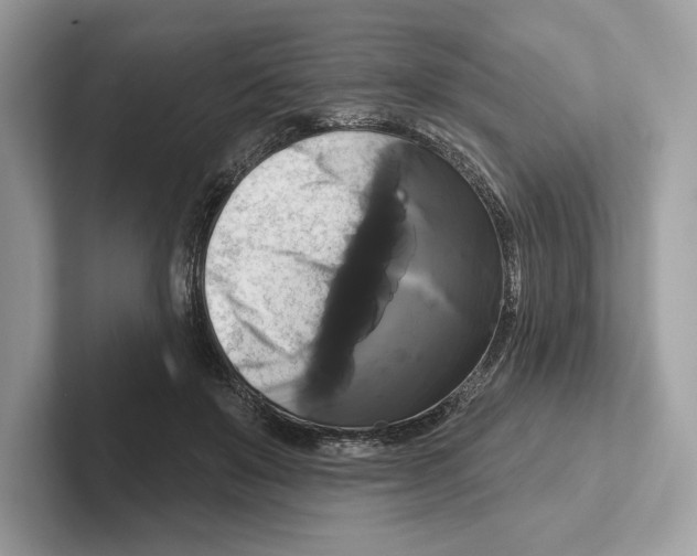 X0000100920503200807221119
