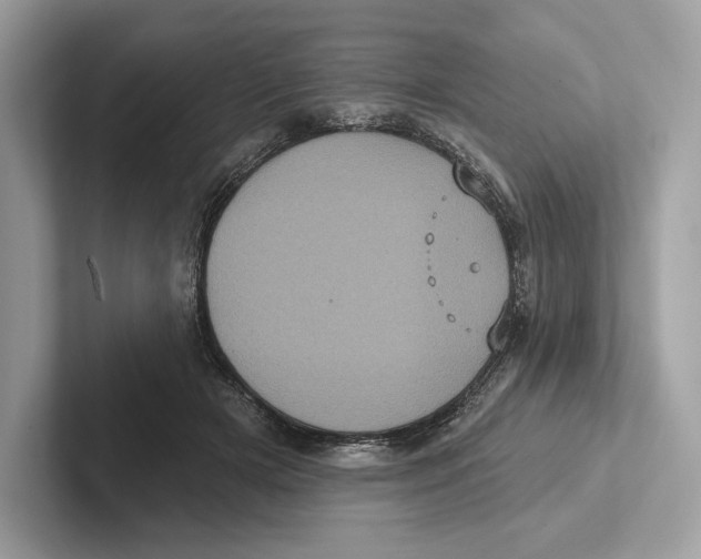 X0000100920505200807221119