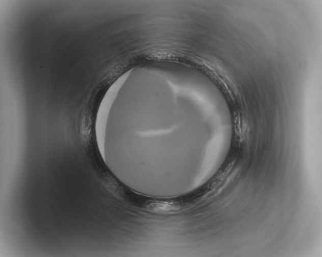 X0000100920507200807221119