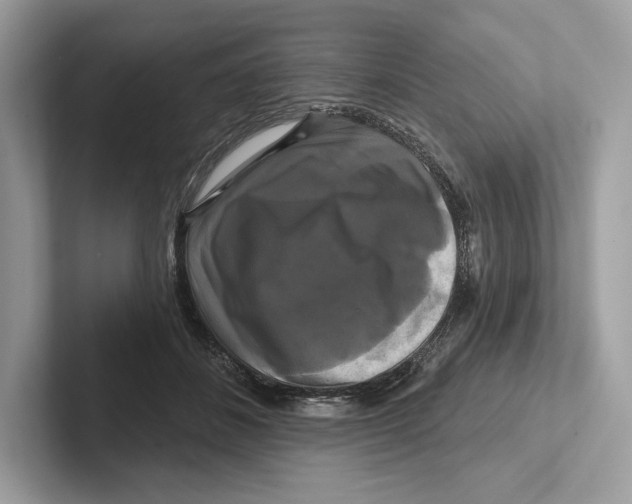 X0000100920508200807221119