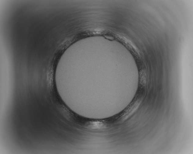 X0000100920509200807221119
