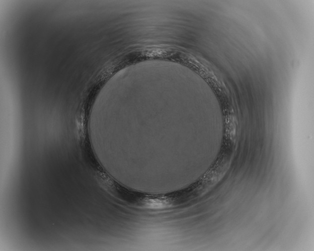 X0000100920510200807221119