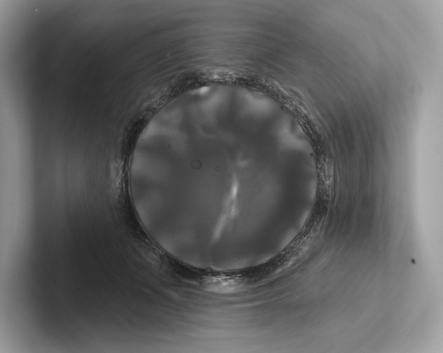 X0000100920511200807221119