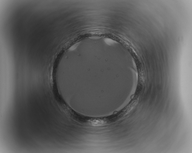 X0000100920512200807221119