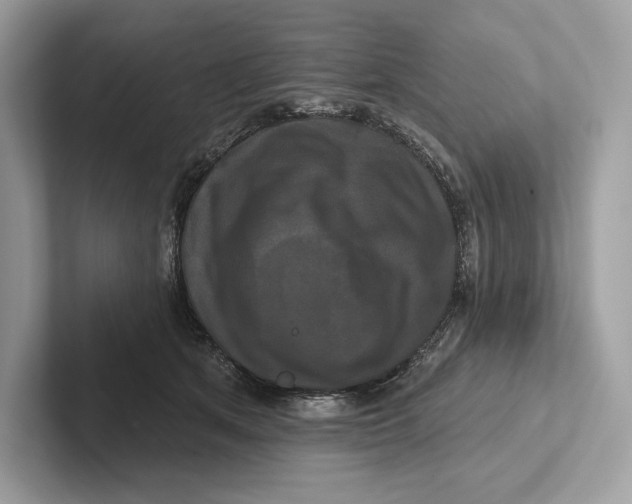 X0000100920513200807221119