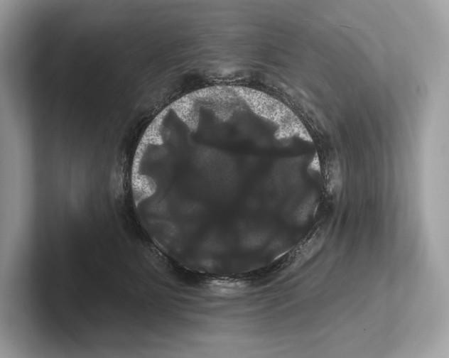 X0000100920515200807221119