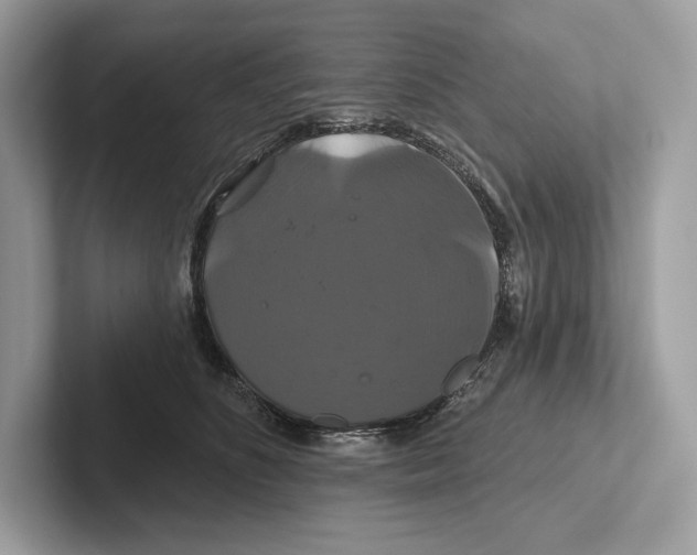 X0000100920516200807221119