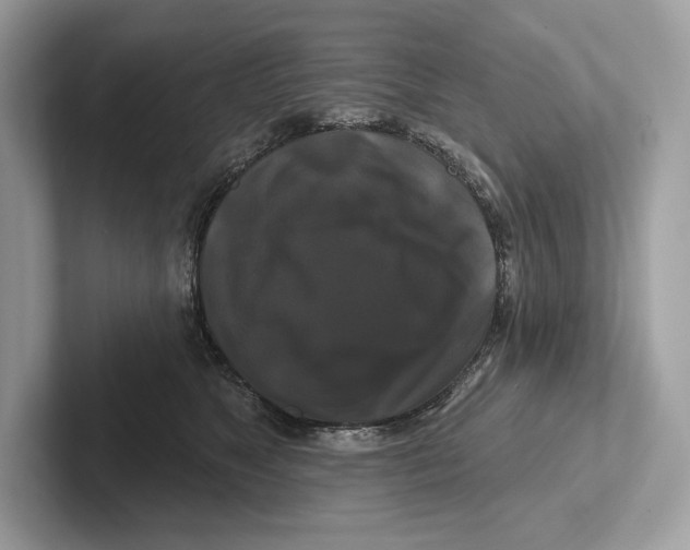X0000100920517200807221119