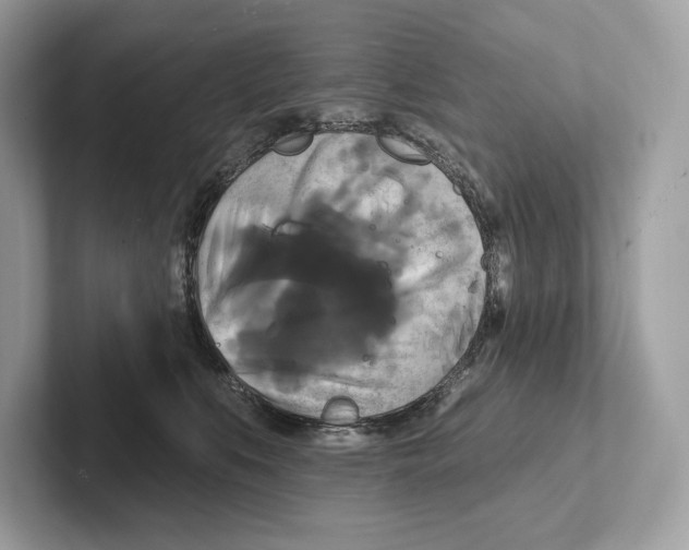 X0000100920519200807221118