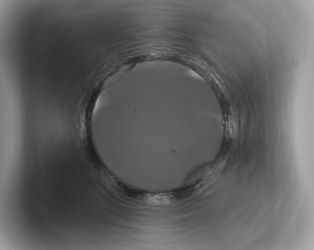 X0000100920520200807221118