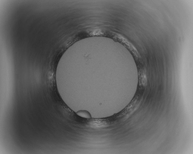X0000100920521200807221118
