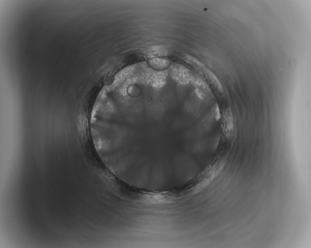 X0000100920523200807221118