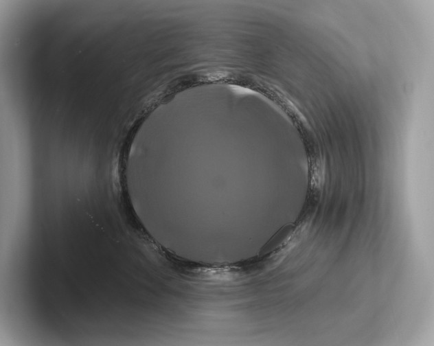 X0000100920524200807221118