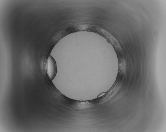 X0000100920525200807221118