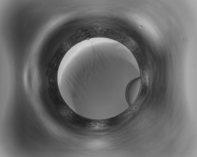 X0000100920526200807221118
